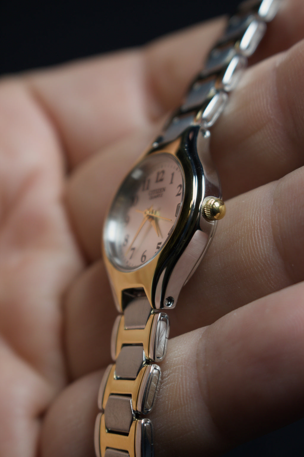 Citizen Two-tone EU2254-51A Lady (8)