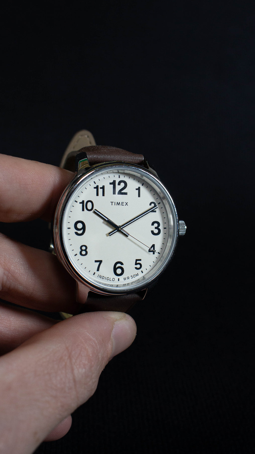Timex Easy Reader TW2V213009J (3)
