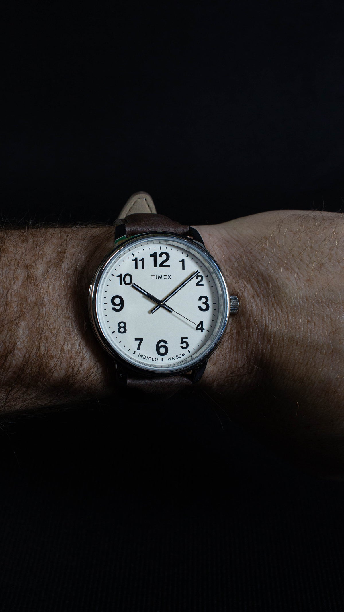 Timex Easy Reader TW2V213009J (8)