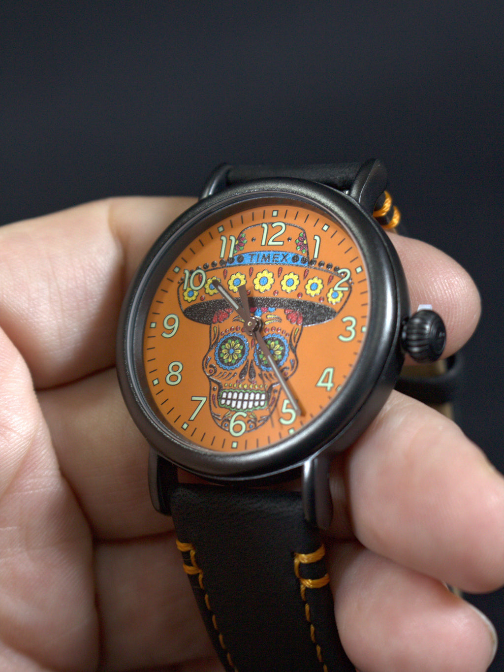 Timex Dia De Los Muertos TW2V67700VQ (3)