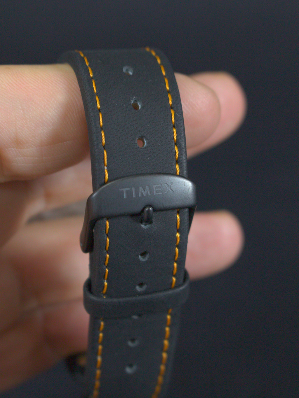 Timex Dia De Los Muertos TW2V67700VQ (4)