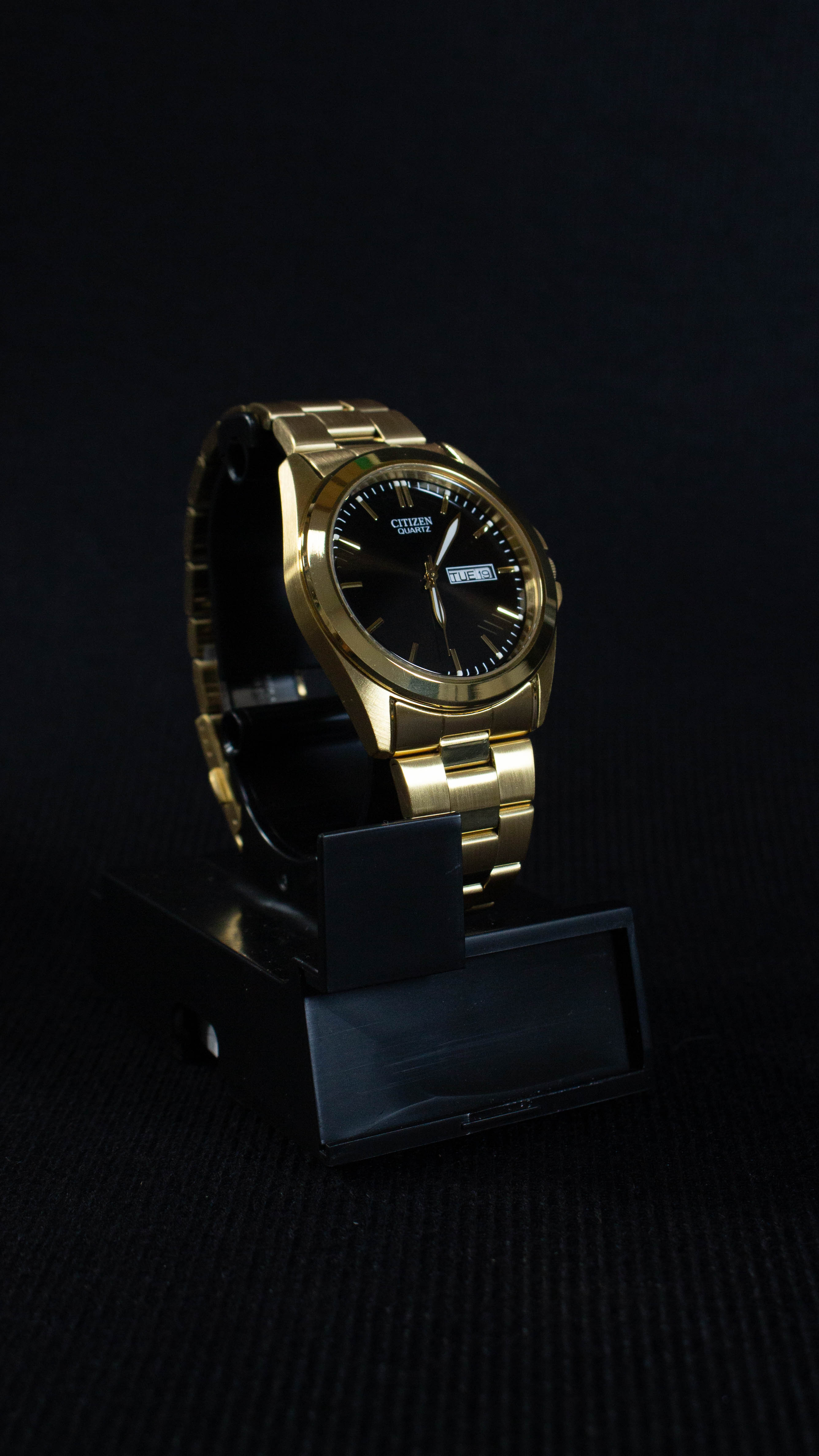 Citizen Quartz BF0582-51F Dorado