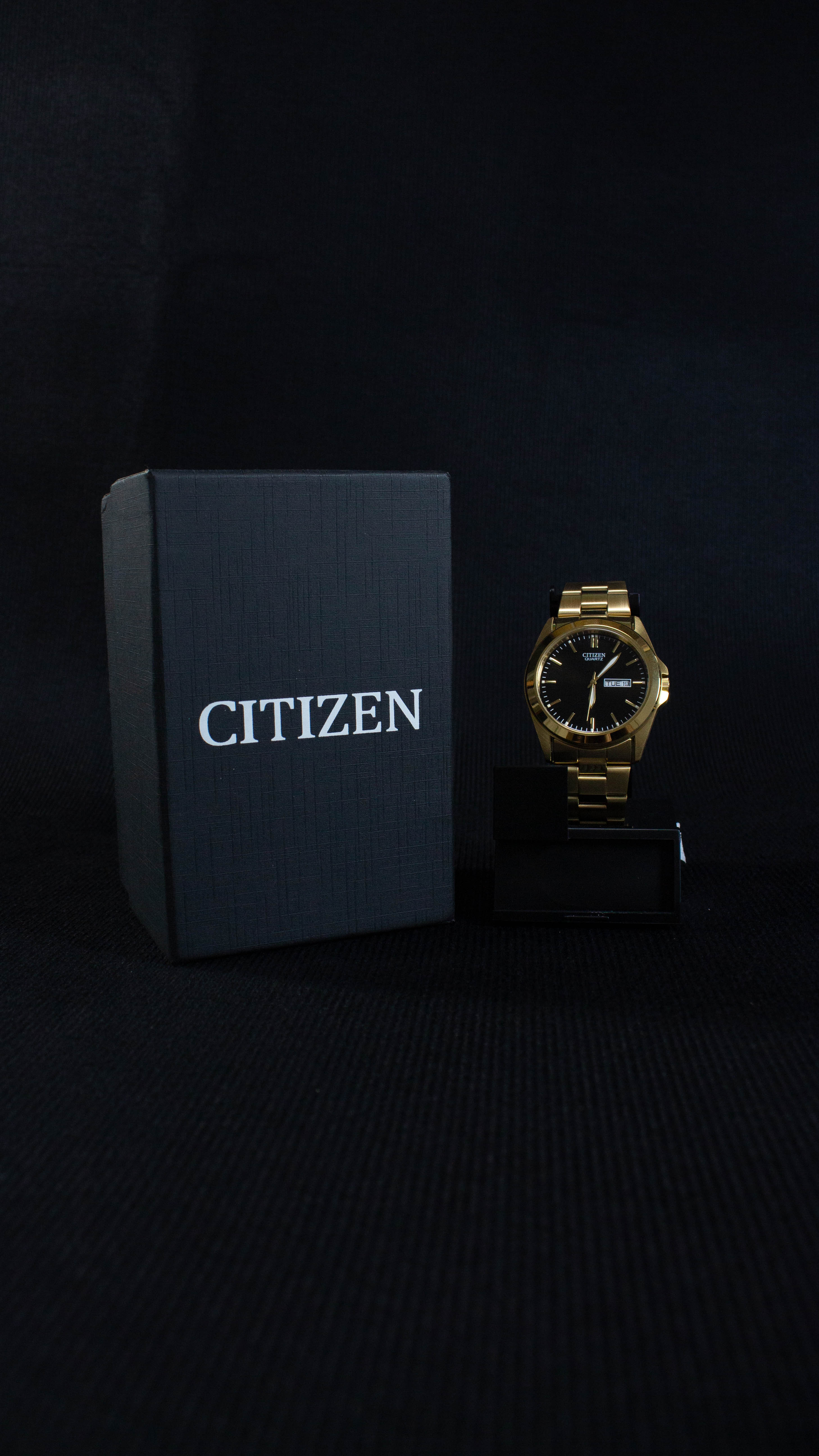 Citizen Quartz BF0582-51F Dorado