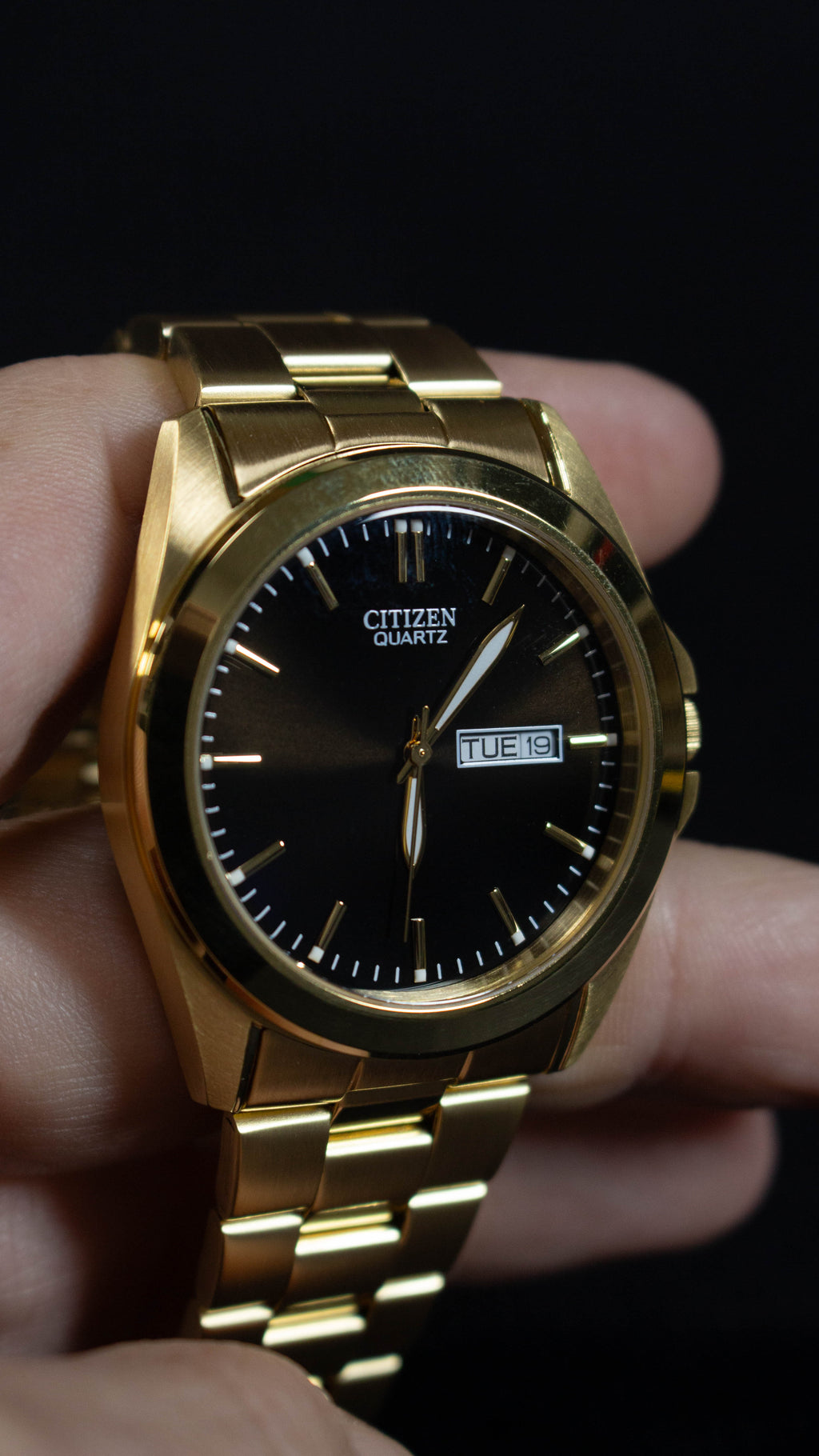 Citizen Quartz BF0582-51F Dorado