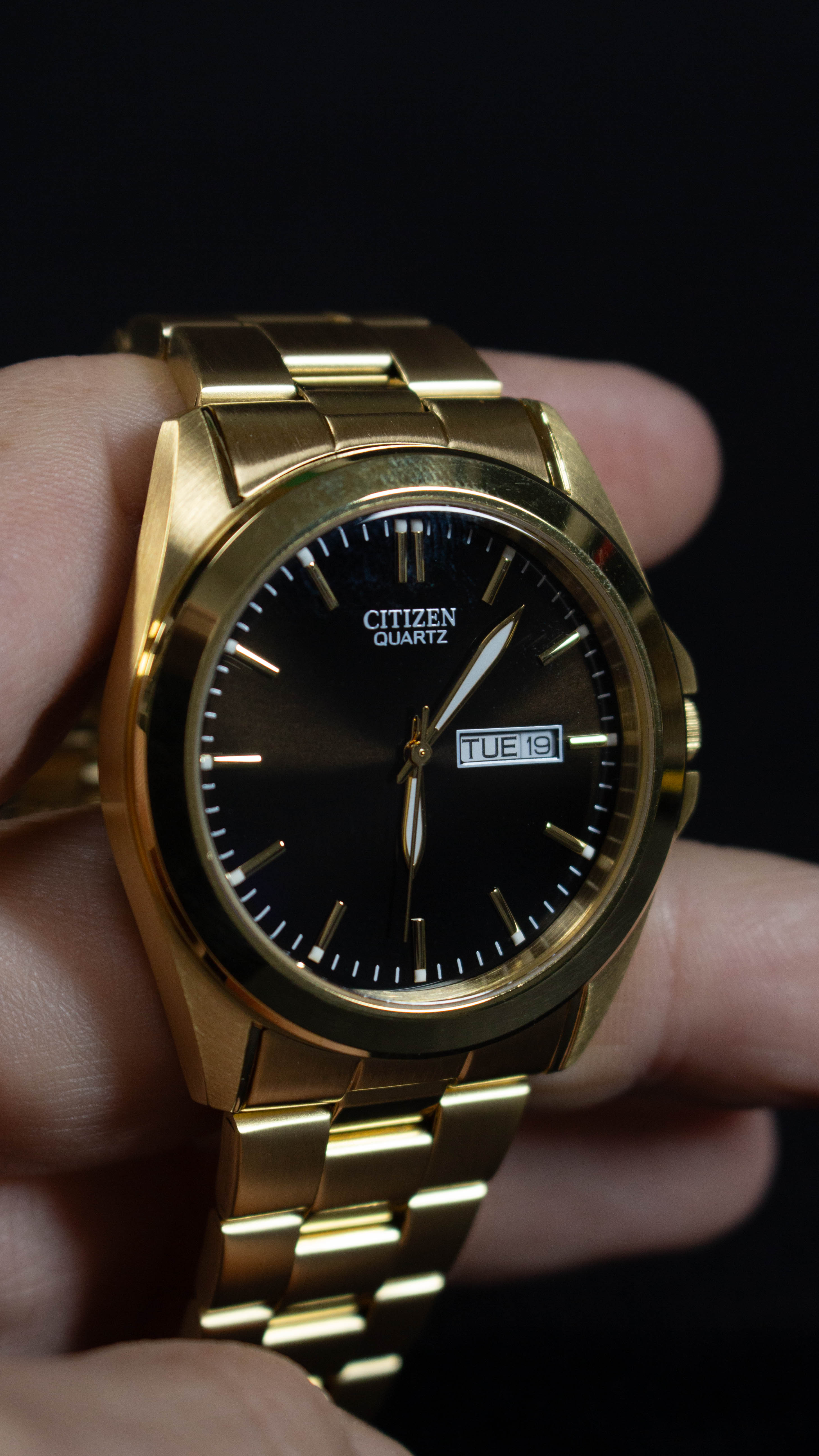 Citizen Quartz BF0582-51F Dorado
