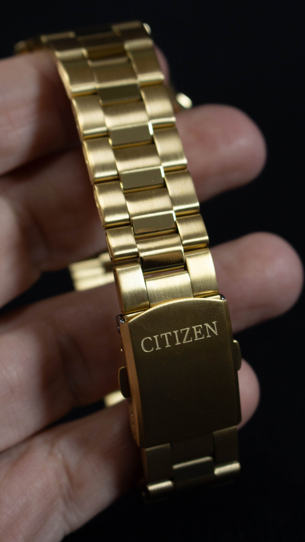 Citizen Quartz BF0582-51F Dorado