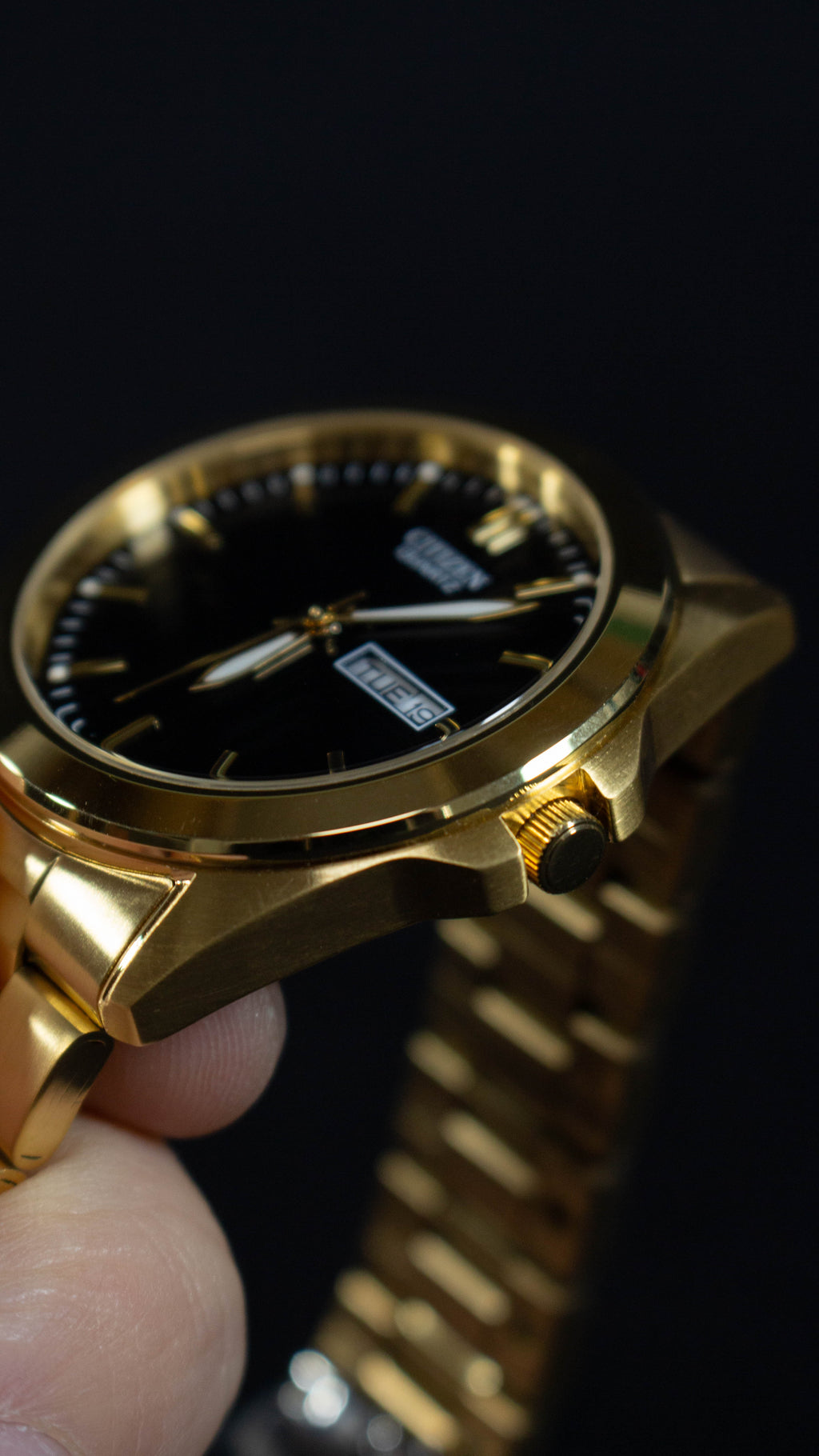 Citizen Quartz BF0582-51F Dorado