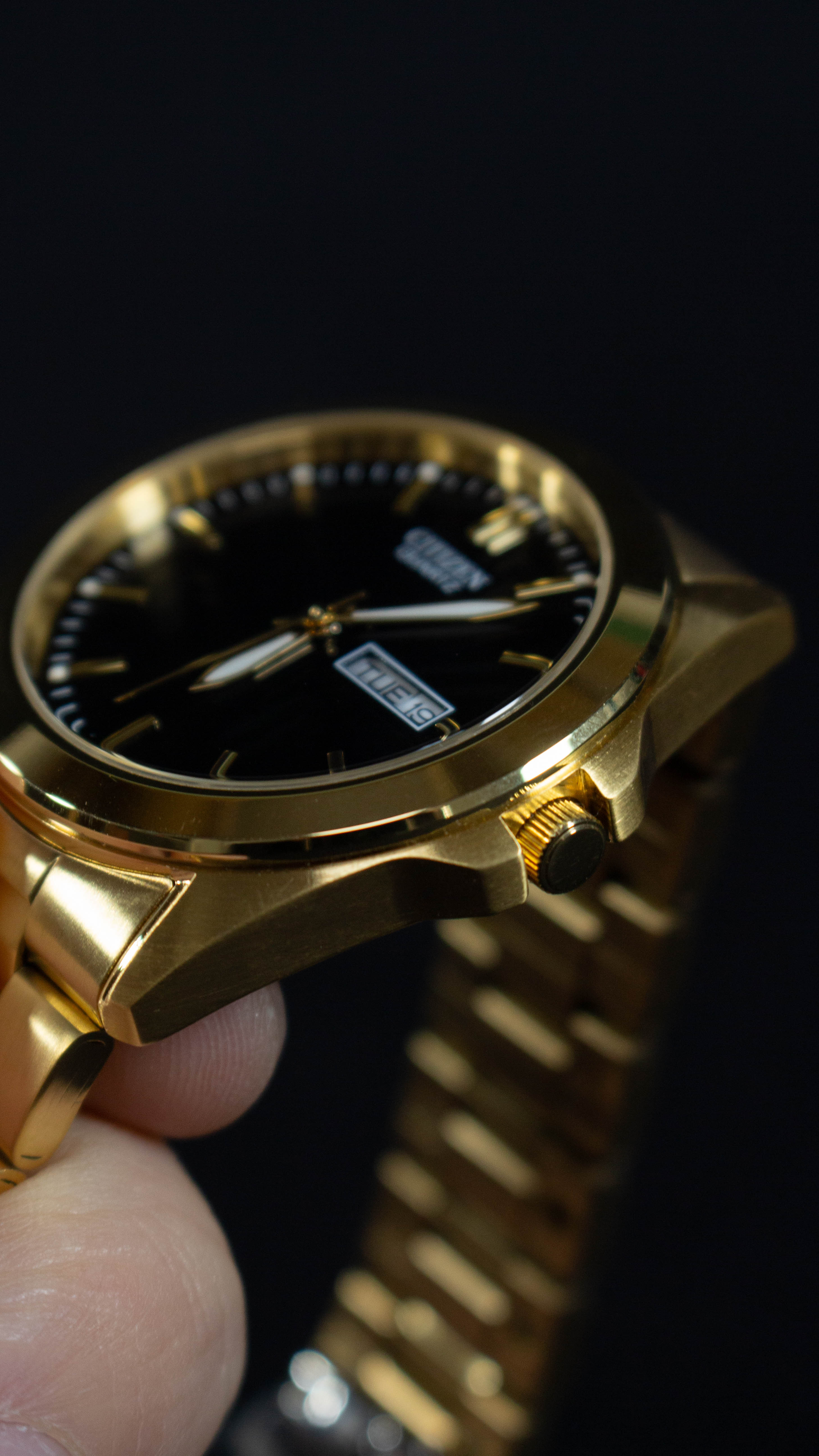Citizen Quartz BF0582-51F Dorado