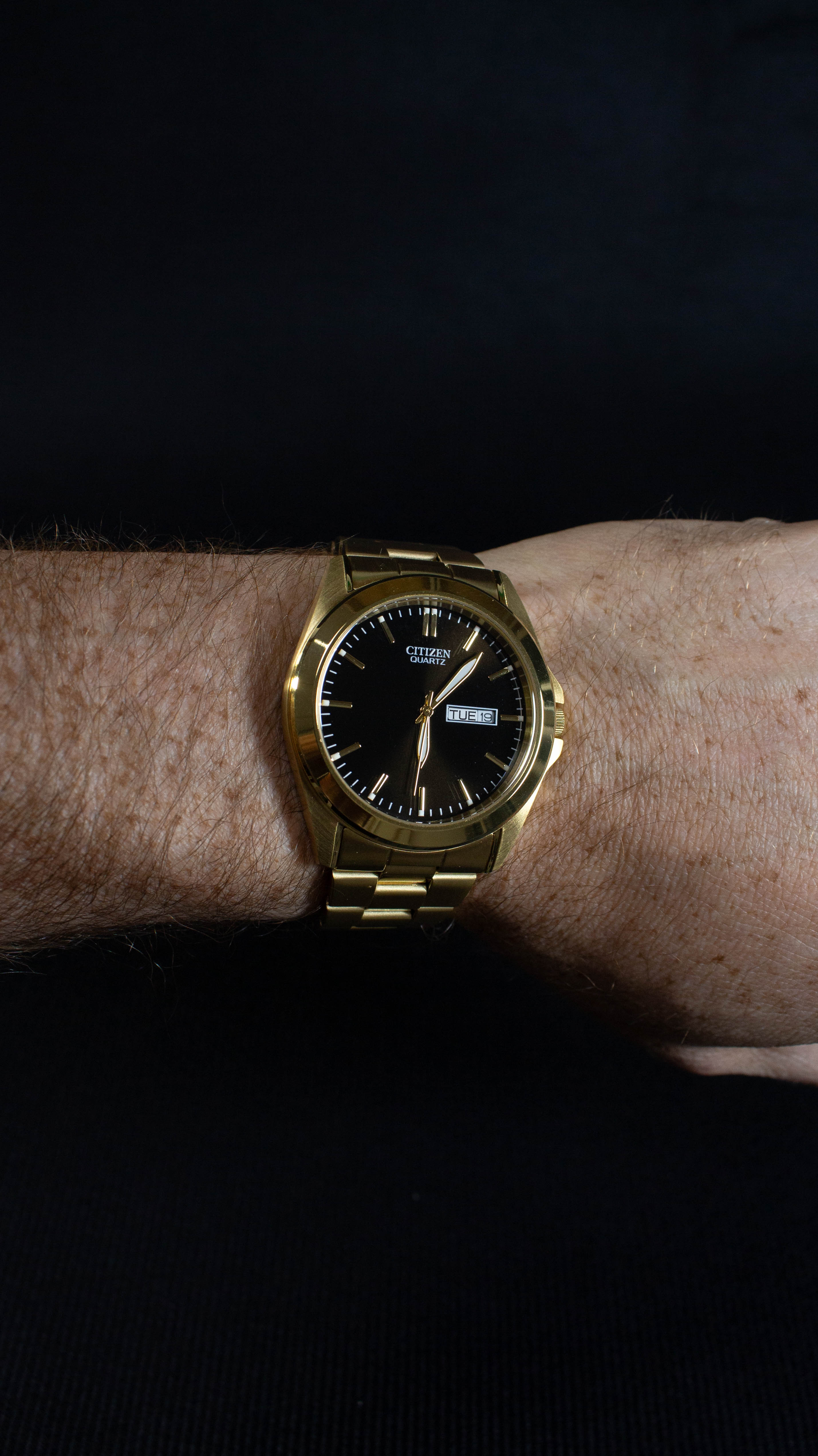 Citizen Quartz BF0582-51F Dorado