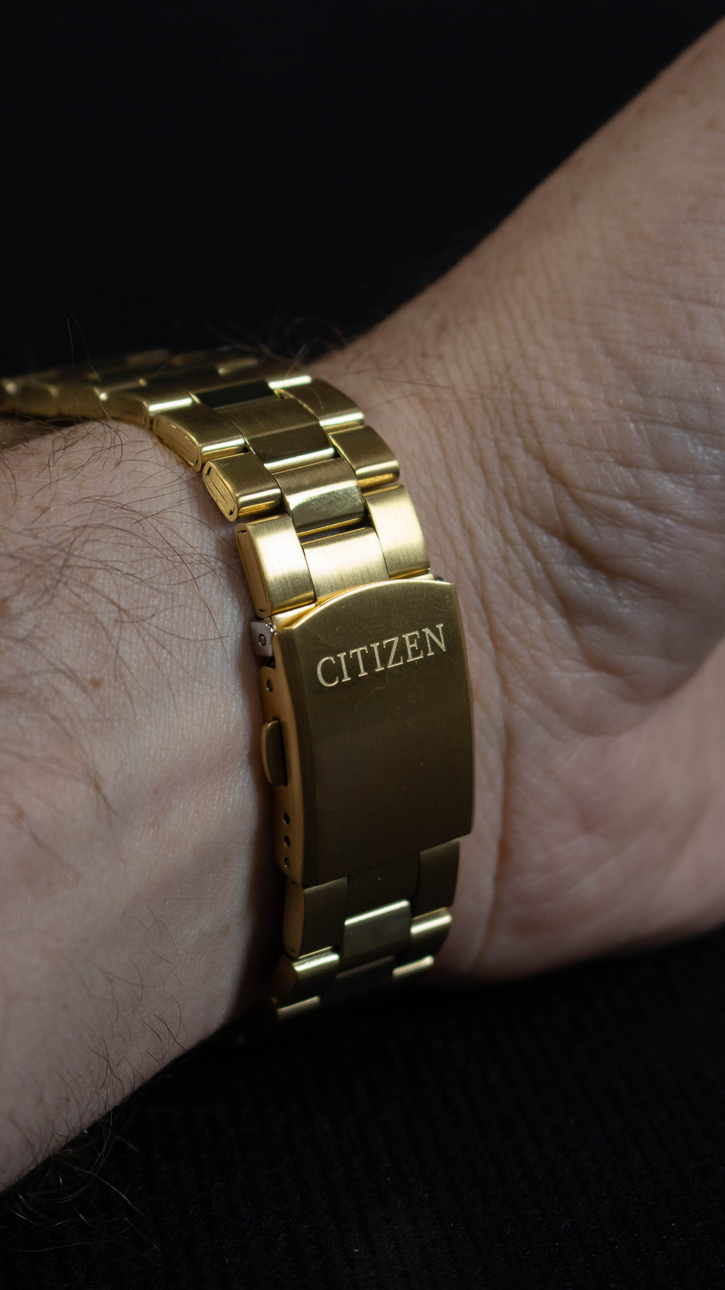Citizen Quartz BF0582-51F Dorado