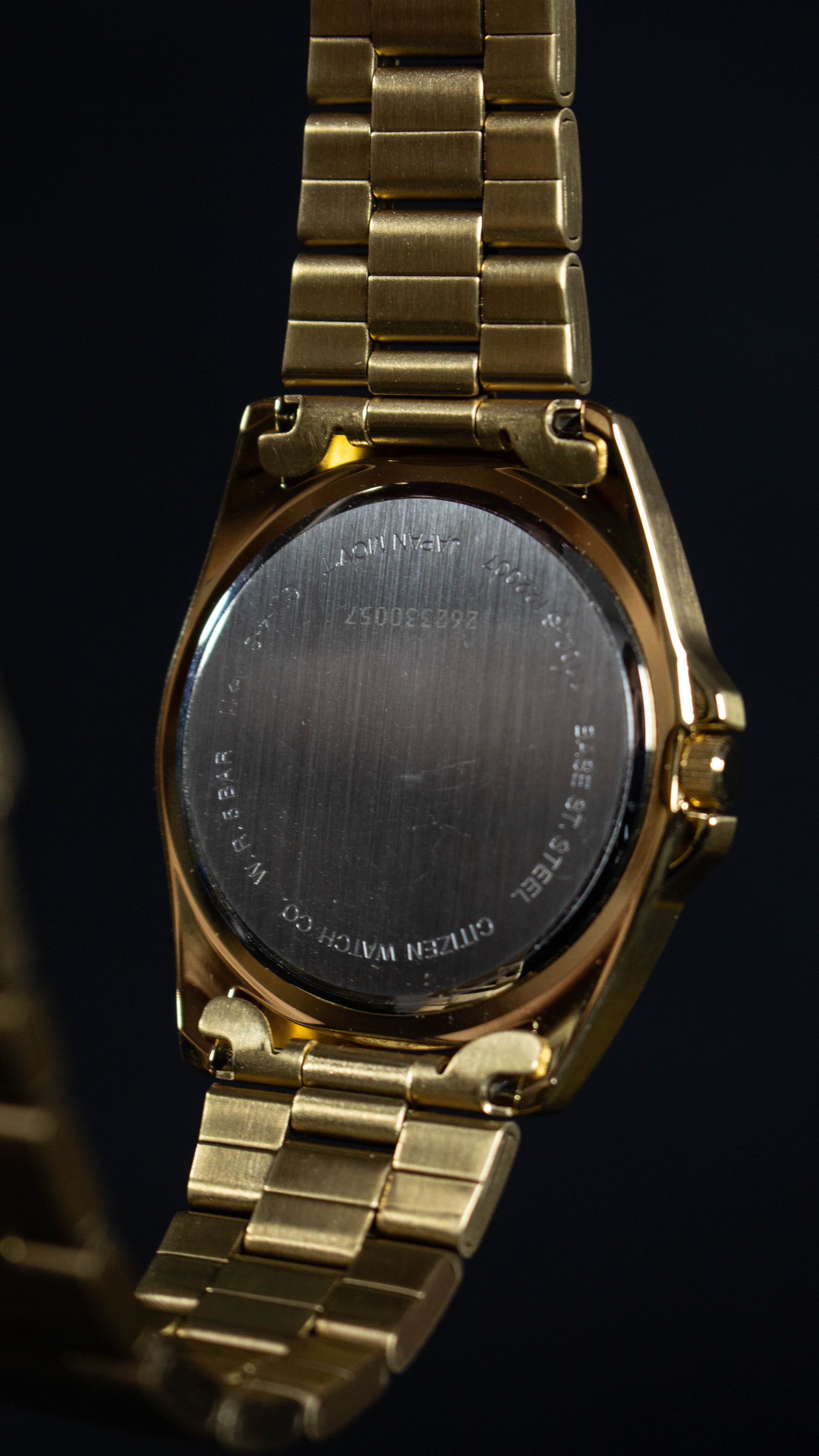 Citizen Quartz BF0582-51F Dorado